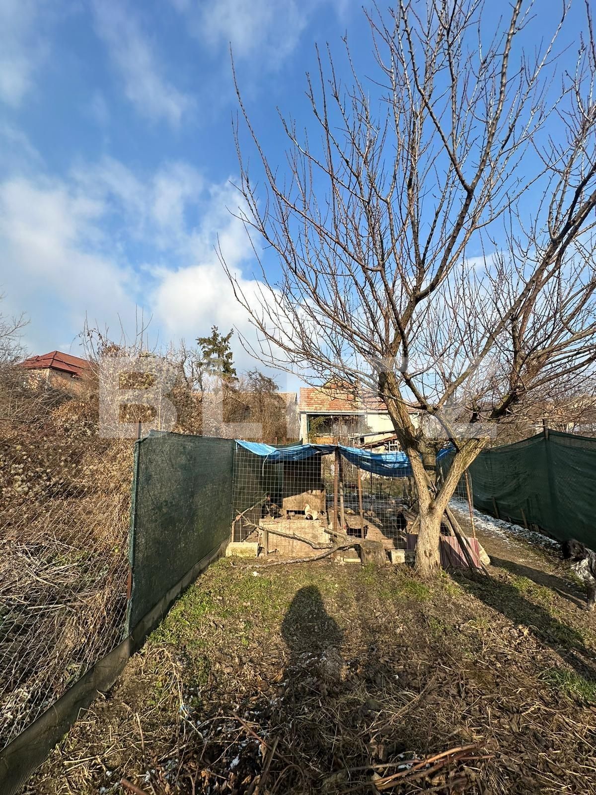 Casa de vânzare 3 camere Aiud - 133664CV | BLITZ Alba Iulia | Poza6
