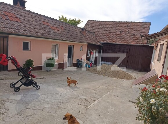 Casa de vânzare 4 camere Exterior Sud - 133743CV | BLITZ Alba Iulia | Poza2