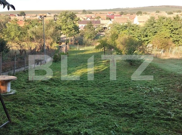 Casa de vânzare 4 camere Exterior Sud - 133743CV | BLITZ Alba Iulia | Poza8