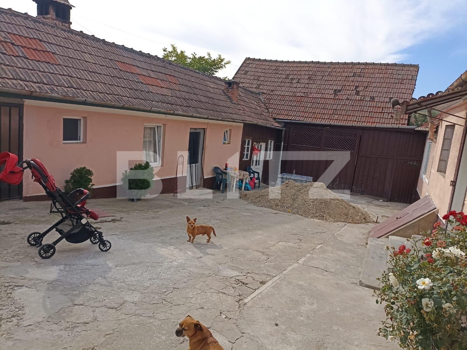 Casa de vânzare 4 camere Exterior Sud - 133743CV | BLITZ Alba Iulia | Poza2