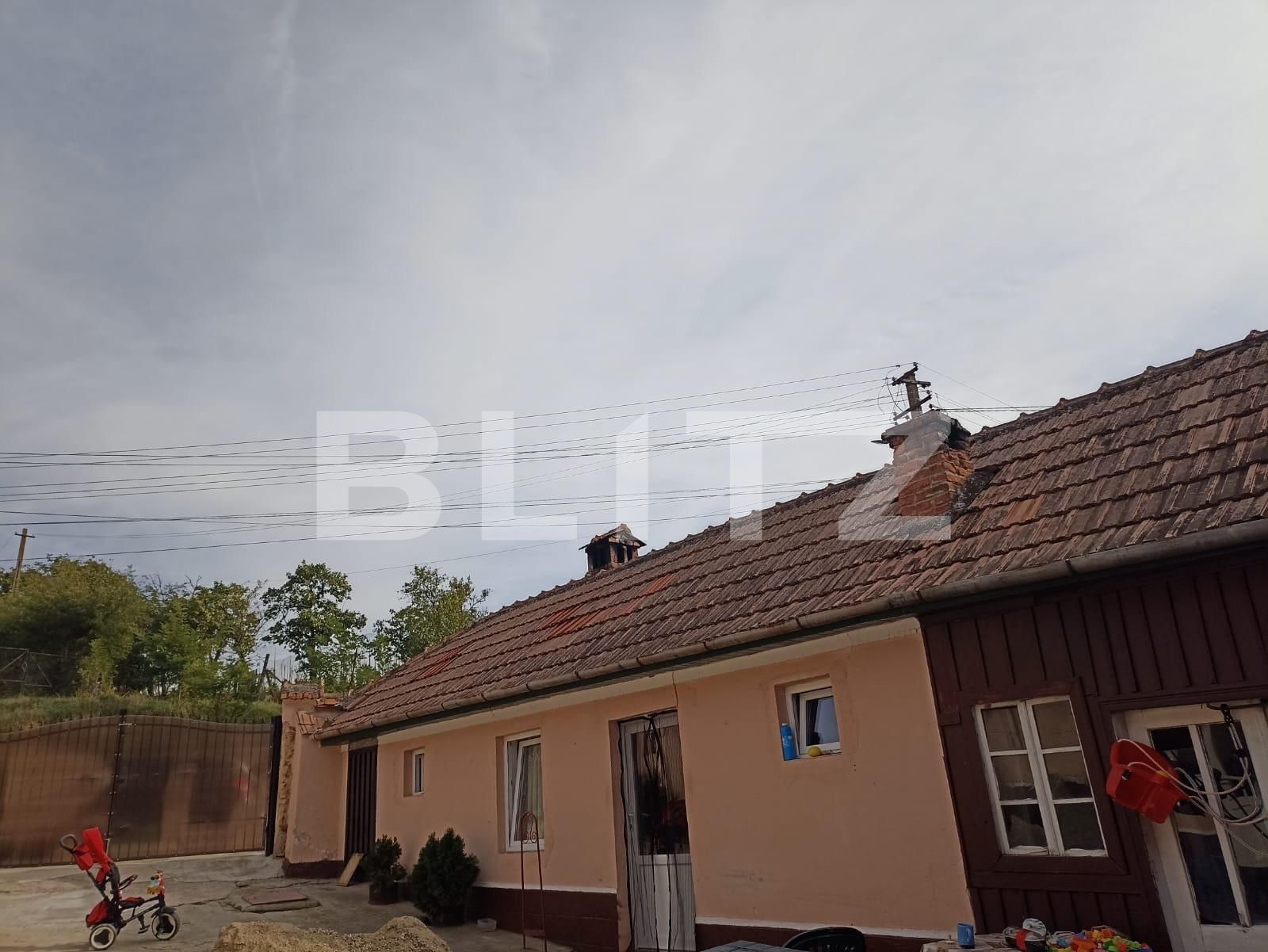 Casa de vânzare 4 camere Exterior Sud - 133743CV | BLITZ Alba Iulia | Poza3