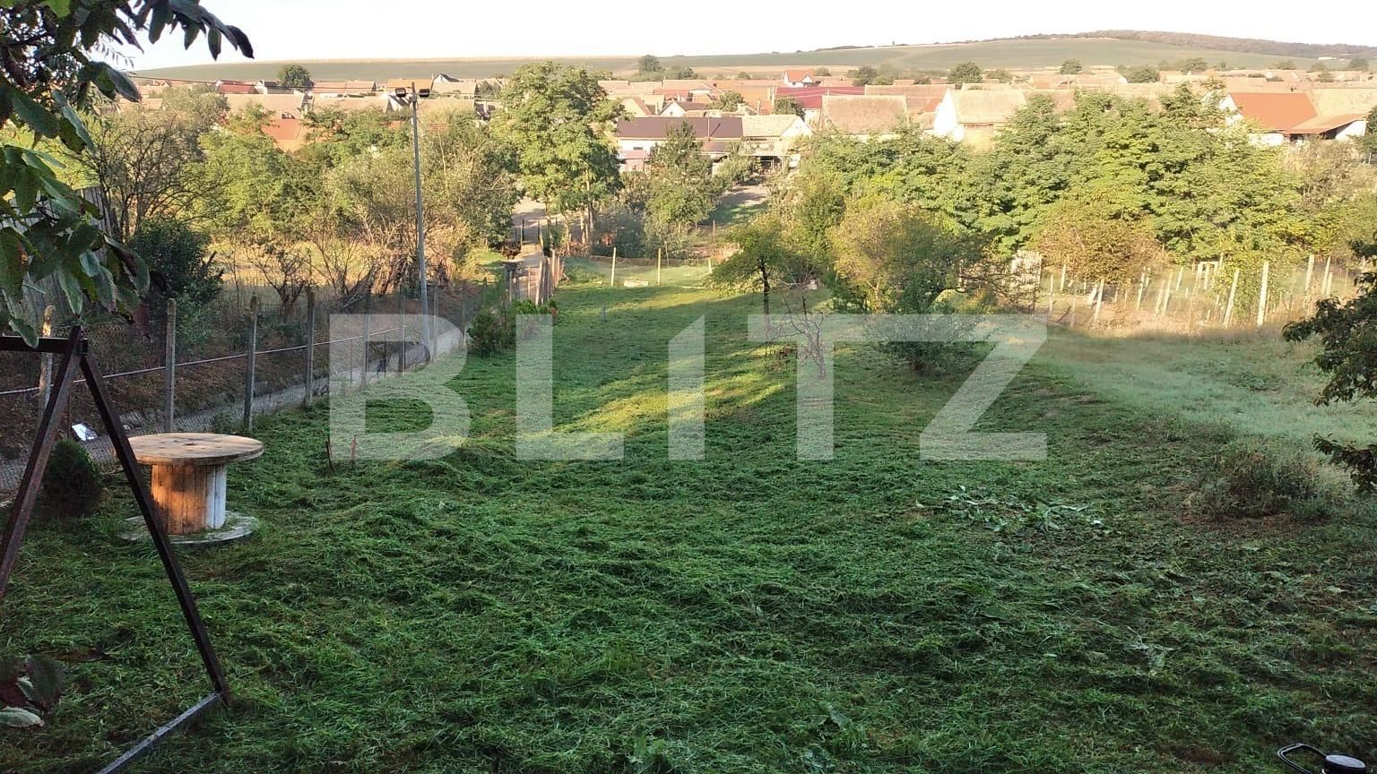 Casa de vânzare 4 camere Exterior Sud - 133743CV | BLITZ Alba Iulia | Poza8