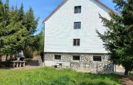 Casa de vacanta, 12 camere, 724 mp teren, Geoagiu Bai - statiune balneoclimaterica