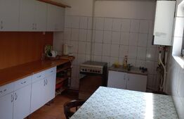 Casa de vacanta, 12 camere, 724 mp teren, Geoagiu Bai - statiune balneoclimaterica