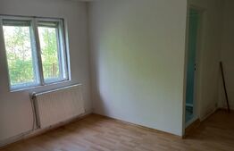 Casa de vacanta, 12 camere, 724 mp teren, Geoagiu Bai - statiune balneoclimaterica