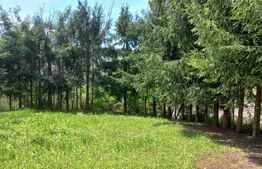 Casa de vacanta, 12 camere, 724 mp teren, Geoagiu Bai - statiune balneoclimaterica