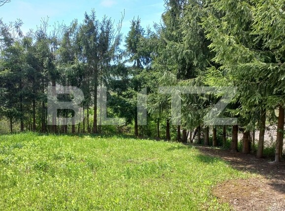 Casa de vânzare 12 camere Periferie - 133942CV | BLITZ Alba Iulia | Poza3