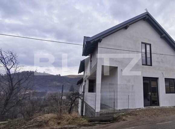 Spațiu comercial de închiriat Exterior Sud - 134115SIC | BLITZ Alba Iulia | Poza2