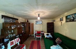 Casă 4 camere, teren 4.496mp, comuna Ohaba