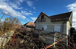 Casă 4 camere, teren 4.496mp, comuna Ohaba