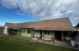 Casă 4 camere, teren 4.496mp, comuna Ohaba