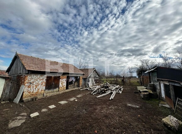 Casa de vânzare 4 camere Nord Est - 134663CV | BLITZ Alba Iulia | Poza12