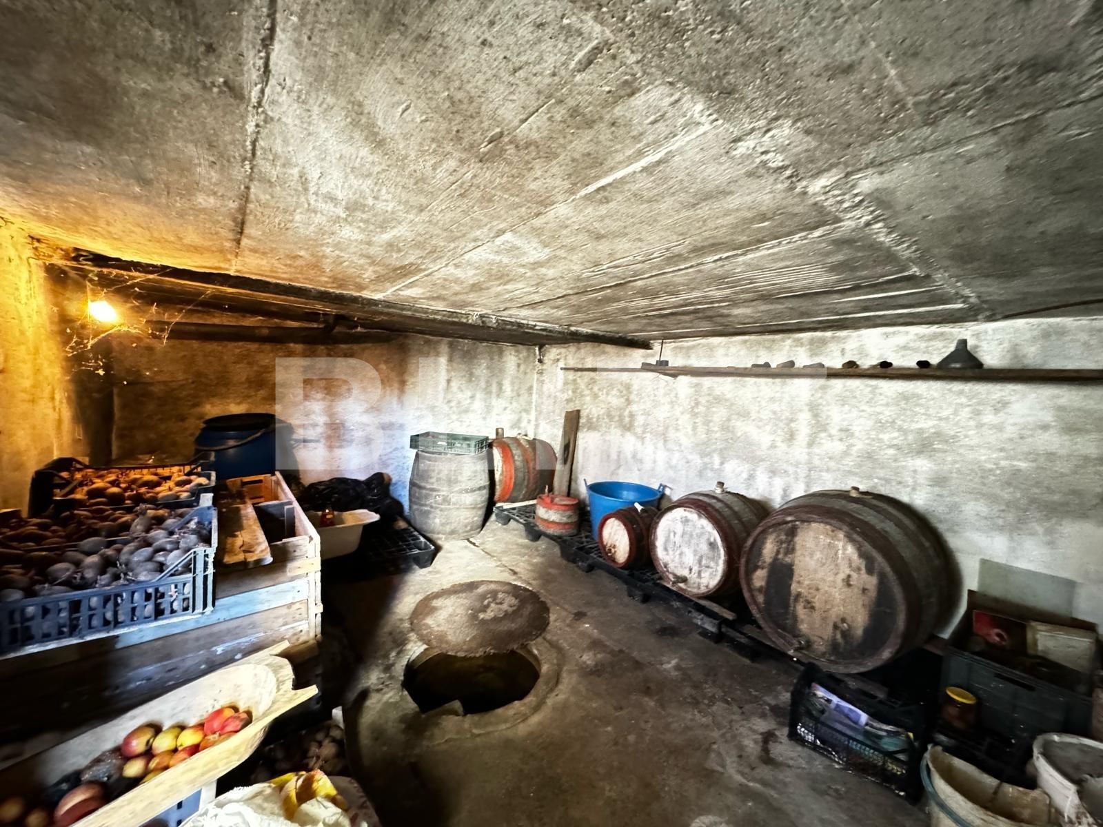 Casa de vânzare 4 camere Nord Est - 134663CV | BLITZ Alba Iulia | Poza9