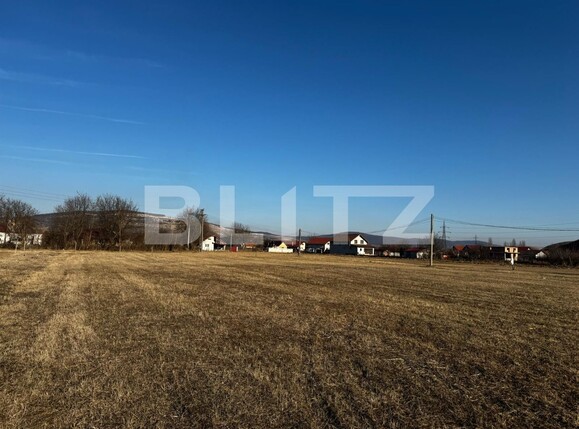 Teren de vânzare Sard - 134947TV | BLITZ Alba Iulia | Poza2