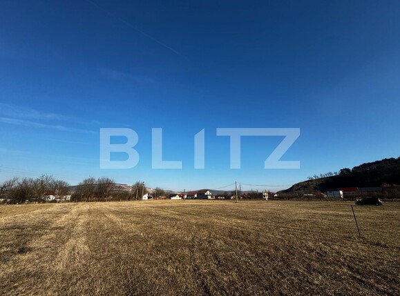 Teren de vânzare Sard - 134947TV | BLITZ Alba Iulia | Poza4