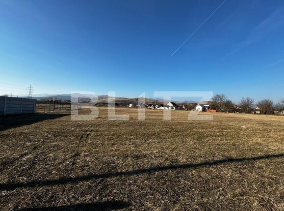 Teren de vânzare Sard - 134947TV | BLITZ Alba Iulia | Poza5