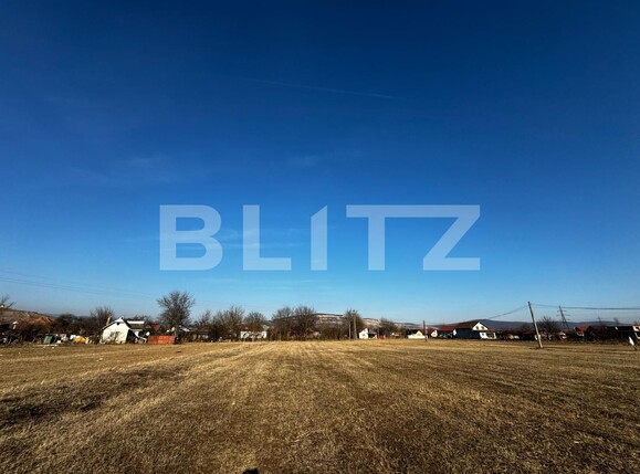 Teren de vânzare Sard - 134947TV | BLITZ Alba Iulia | Poza3