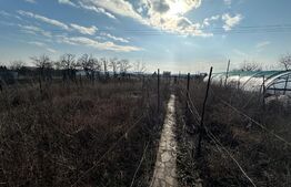 Casa individuala, 4 camere, 100mp, 435mp teren, Sebes