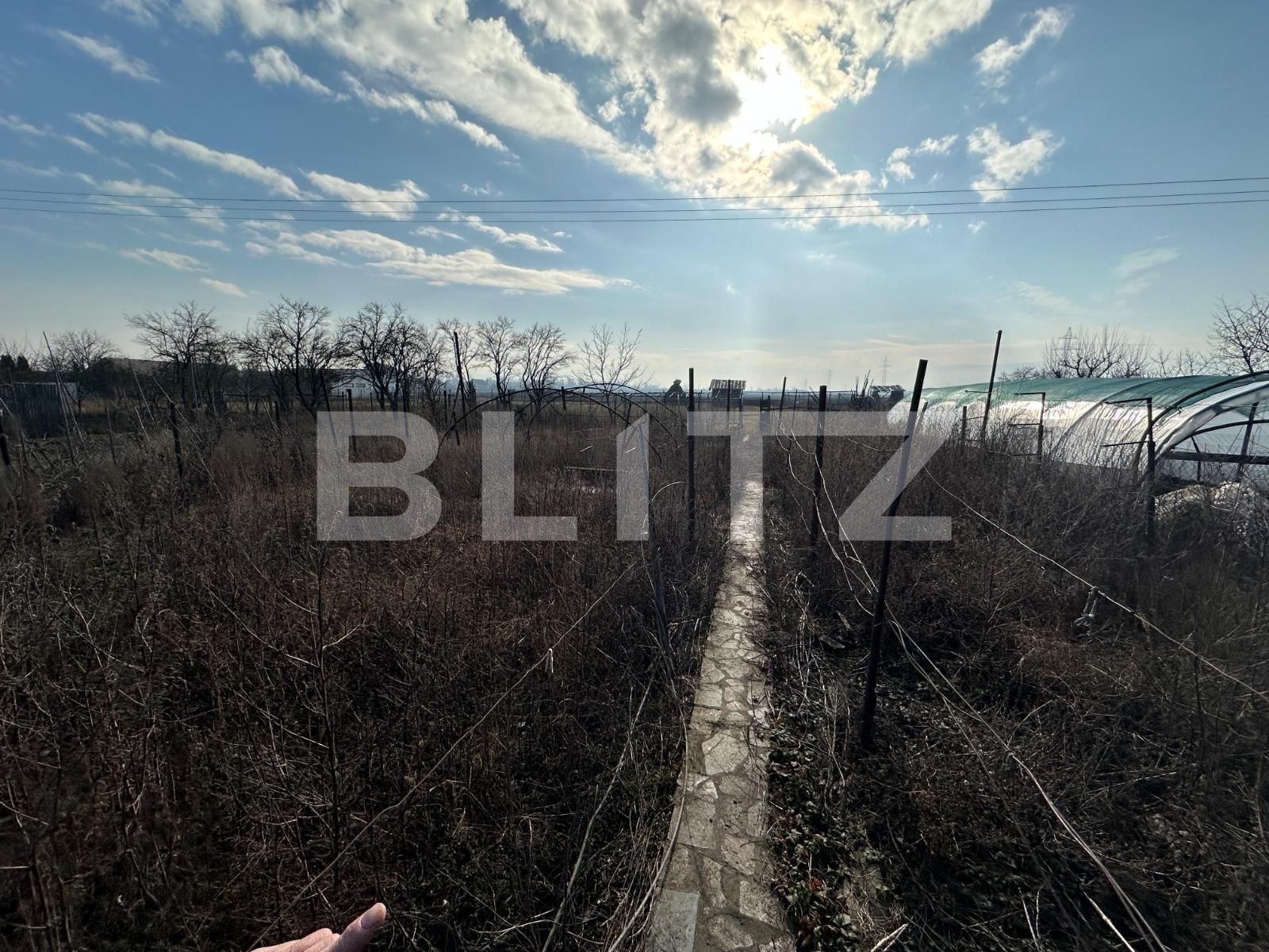 Casa de vânzare 4 camere Sebeș - 134975CV | BLITZ Alba Iulia | Poza13