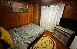 Cabană 3 camere, 90mp, zona Valea Mănăstirii Râmeț