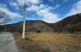 Teren intravilan cu căbănuță, 3797 mp, zona Valea Mănăstirii Râmeț