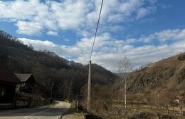 Teren intravilan cu căbănuță, 3797 mp, zona Valea Mănăstirii Râmeț