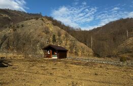 Teren intravilan cu căbănuță, 3797 mp, zona Valea Mănăstirii Râmeț