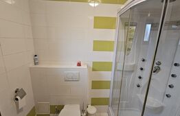 Casa individuala D+P cu 6 camere, 260mp, 3 bai, teren 921 mp, zona Sebes