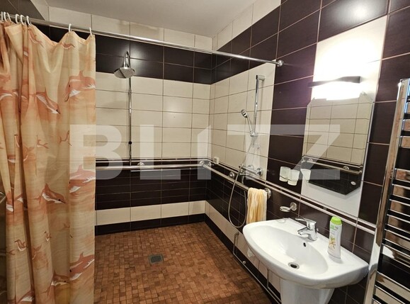 Casa de vânzare 6 camere Sebeș - 135120CV | BLITZ Alba Iulia | Poza10