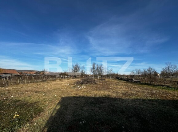 Casa de vânzare 3 camere Nord Est - 135303CV | BLITZ Alba Iulia | Poza12