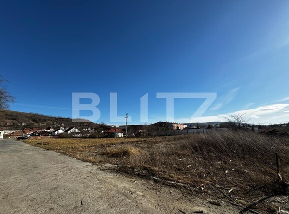 Teren de vânzare Blaj - 135316TV | BLITZ Alba Iulia | Poza1