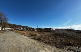 Teren intravilan, 1000 mp, zona centrala - Blaj