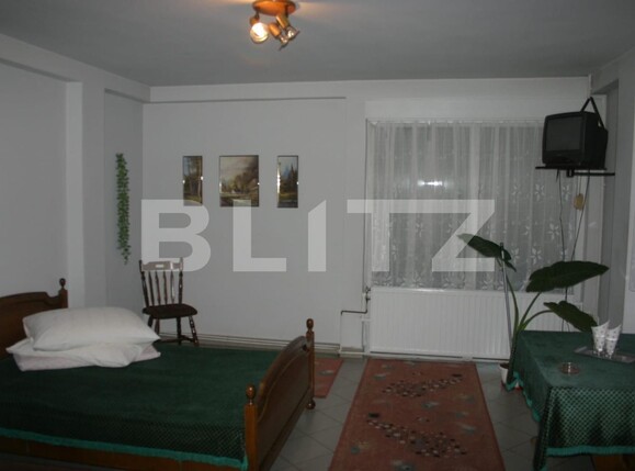 Spațiu comercial de vânzare Sud-Vest - 135352SVC | BLITZ Alba Iulia | Poza2