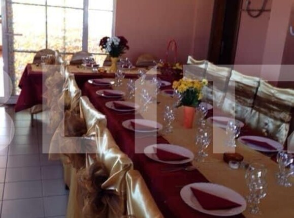 Spațiu comercial de vânzare Sud-Vest - 135352SVC | BLITZ Alba Iulia | Poza12