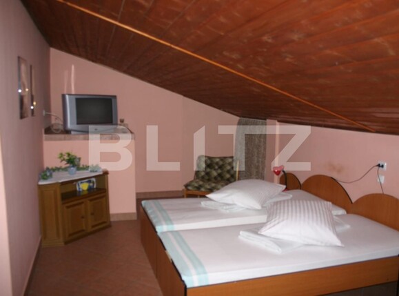 Spațiu comercial de vânzare Sud-Vest - 135352SVC | BLITZ Alba Iulia | Poza3