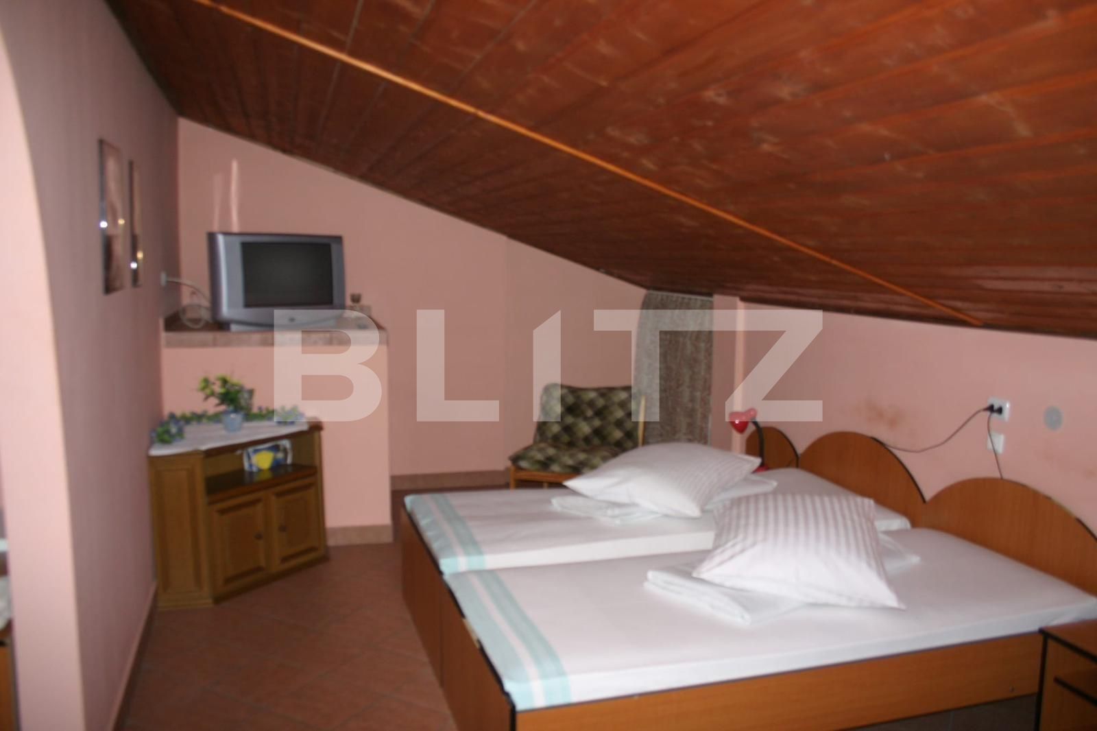 Spațiu comercial de vânzare Sud-Vest - 135352SVC | BLITZ Alba Iulia | Poza3