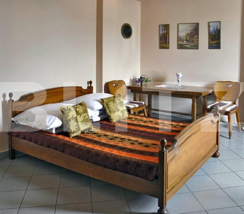 Spațiu comercial de vânzare Sud-Vest - 135352SVC | BLITZ Alba Iulia | Poza10