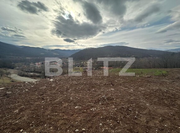 Teren de vânzare Sard - 135681TV | BLITZ Alba Iulia | Poza4