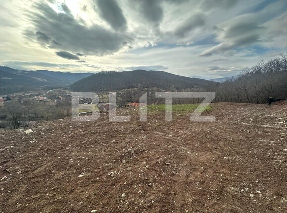 Teren de vânzare Sard - 135681TV | BLITZ Alba Iulia | Poza2