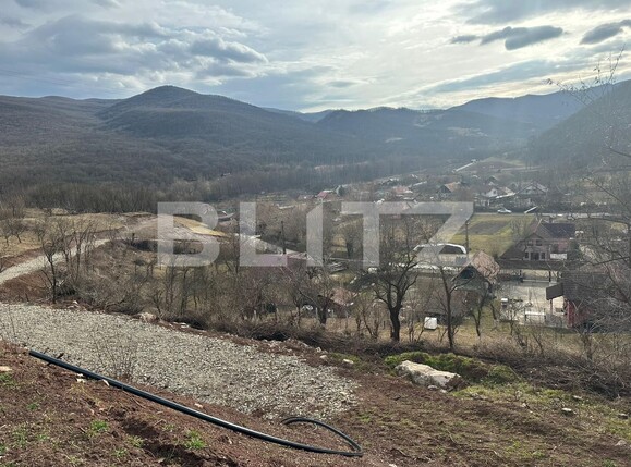 Teren de vânzare Sard - 135681TV | BLITZ Alba Iulia | Poza3