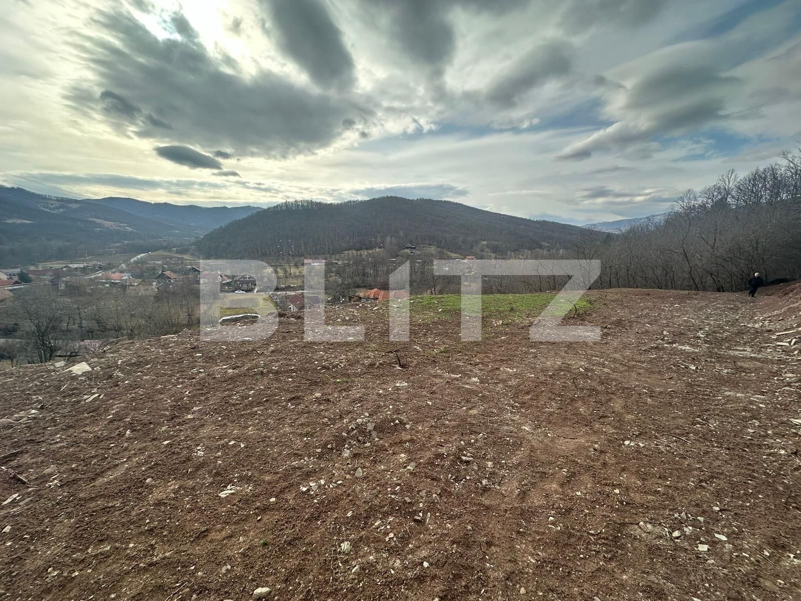 Teren de vânzare Sard - 135681TV | BLITZ Alba Iulia | Poza2