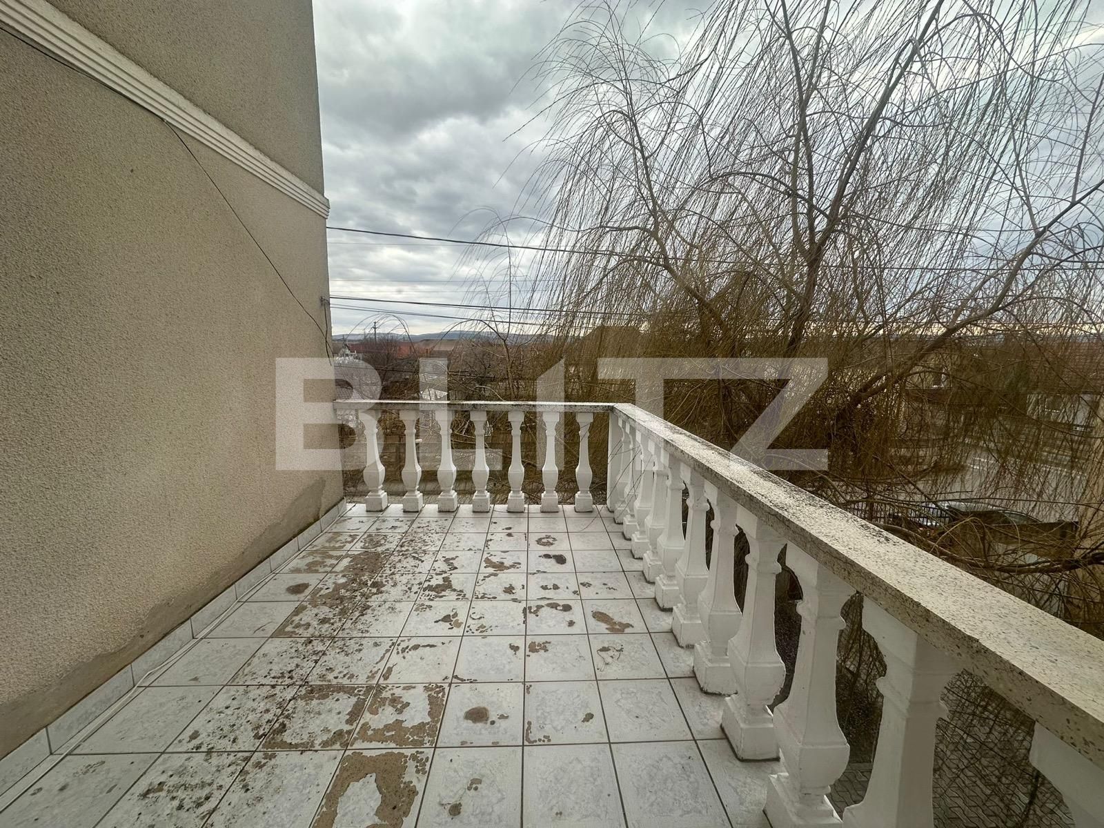 Casa de vânzare 13 camere Bărăbanț - 135684CV | BLITZ Alba Iulia | Poza7