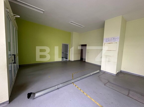 Spațiu comercial de închiriat Cetate - 135735SIC | BLITZ Alba Iulia | Poza3