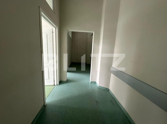 Spațiu comercial de închiriat Cetate - 135737SIC | BLITZ Alba Iulia | Poza2