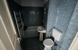 Apartament 2 camere, 52mp, Etaj 1, zona - Cetate 