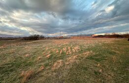 Teren extravilan  5000 mp, zona de Centura 