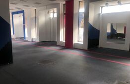 Spatiu de Inchiriat, 352mp, zona Cetate