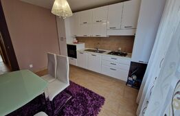 Apartament cu 2 camere, 61 mp, zona Cetate