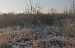 Teren intravilan 6500 mp cu toate utilitatile pe centura industiala a orasului Deva 