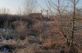 Teren intravilan 6500 mp cu toate utilitatile pe centura industiala a orasului Deva 